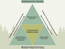 Cargar imagen en el visor de la galería, CONCEPTUALIZACIÓN DE CASOS. TRIÁNGULO DEL TRAUMA Y CARTAS RESILIO.
