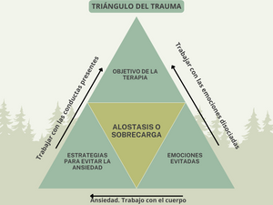 CONCEPTUALIZACIÓN DE CASOS. TRIÁNGULO DEL TRAUMA Y CARTAS RESILIO.